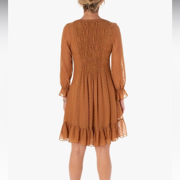 Taylor Rust chiffon dress women’s size 10-smocked Swiss dot-NWT - Picture 3 of 3